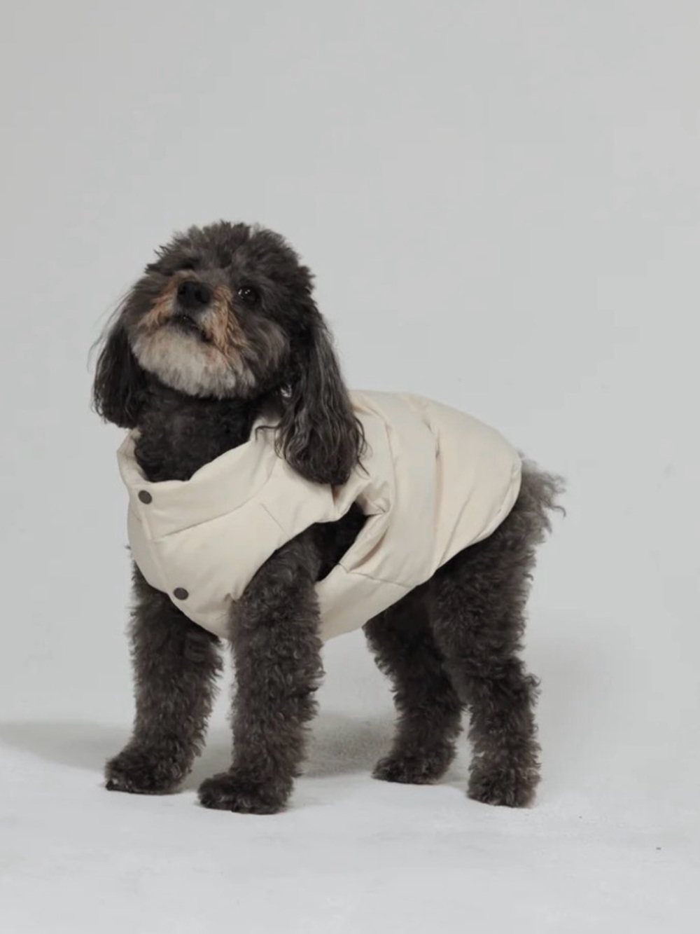 Maxbone Subzero Puffer Jacket for Dogs
